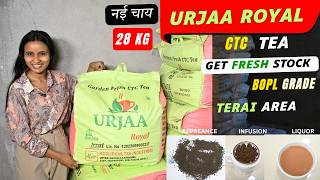 URJAA ROYAL CTC BOPL || New Stock First Flush Terai  || चाय पत्ती का बिजनेस   #wholesalemarket