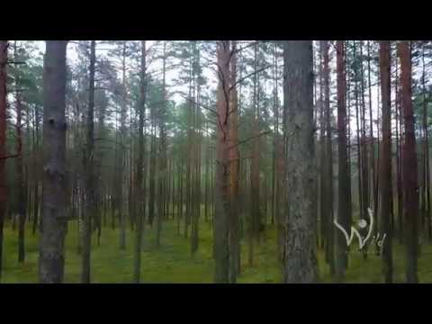 Video: Uljanovsko sritis: draustiniai, ypač saugomos gamtos teritorijos