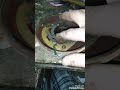 مفتاح الطرد المركزي في محركات الواحد فاز وكل ما يخصه