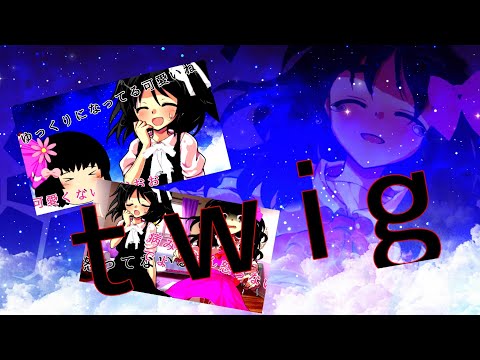 【上手さなんて関係ないPV・MV大会！】【リクエスト】twig！