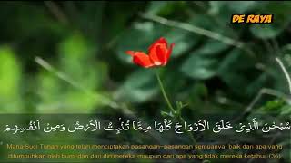 Surah Yasin l PALING MERDU Beserta Terjemahan