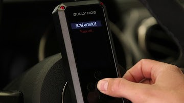 How to Change Levels Using Your Bully Dog BDX