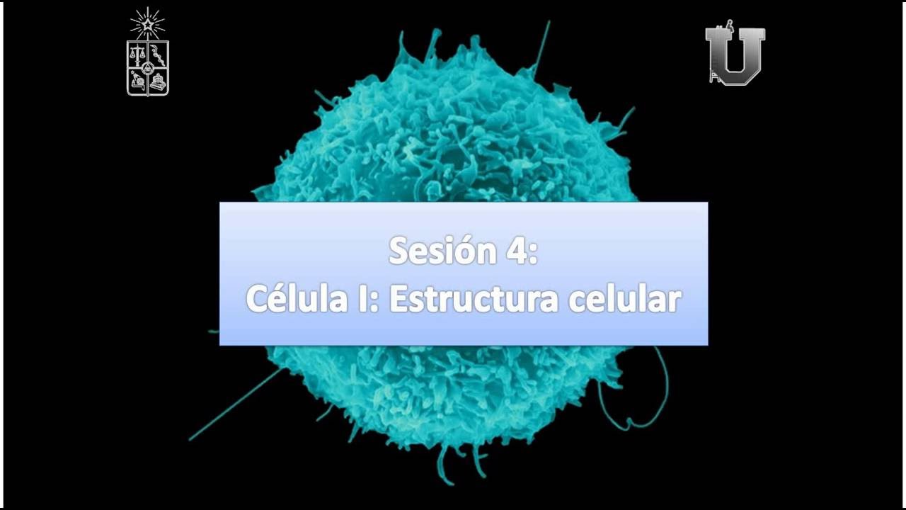 PreuMed PSU / Biología Común / Clase 1. Introducción a la célula