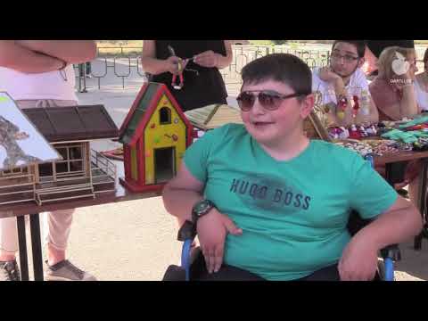 შშმ პირთა დაცვის დღე გორში