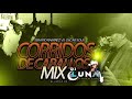 CORRIDOS DE CABALLOS MIX SERAPIO VS OSCAR SOLIS AL ESTILO DJ LUNA 2021