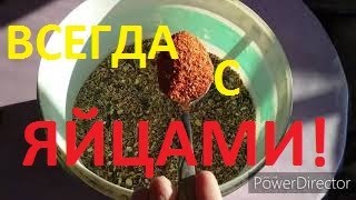 Красный Жгучий Перец для Кур Несушек // Повышение Яйценоскости у Кур