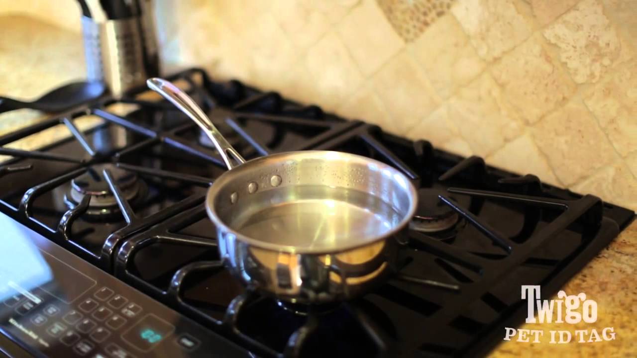 camera iphone 8 plus apk Twigo Tags