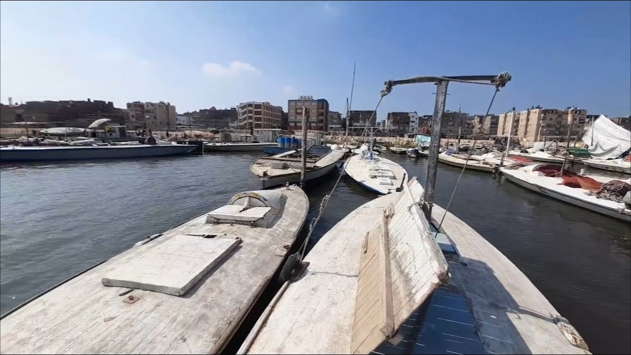 بحيرة المنزلة من مدينة المطرية دقهلية بعد التطهير