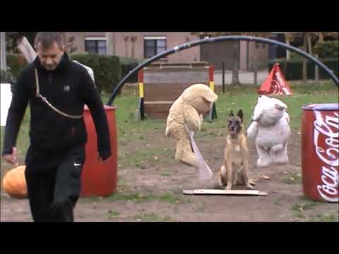 Film jerry Van't Ravenland