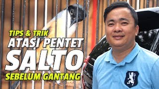 PIALA PASUNDAN 2 : Buktikan! TIPS & TRIK Mengatasi Pentet RIDDICK SALTO Sebelum Gantang