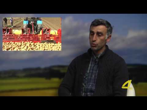 კარტოფილის მოვლა-მოყვანის ტექნოლოგიები