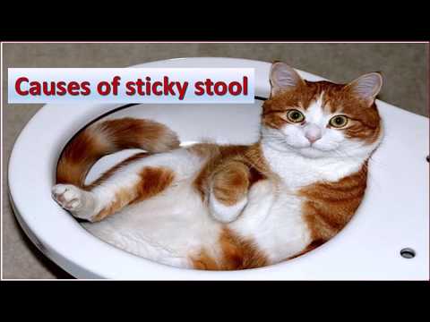 Video: Sticky Poop: Orsaker Och Behandlingsalternativ