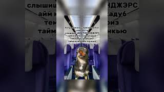 Уверен, это и ваши любимые слова #irvyro #мемас #memes  #аэропорт #пулково #самолёт #путешествия