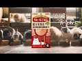 ちゅ～るごはん　30秒