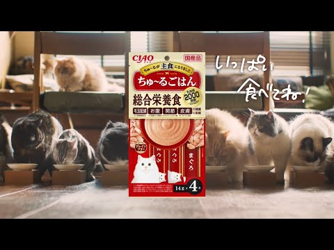 ちゅ～るごはん　30秒