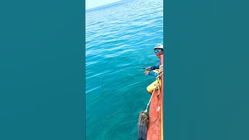 Câu cá biển/ jig cá bè diễn@giangngofising