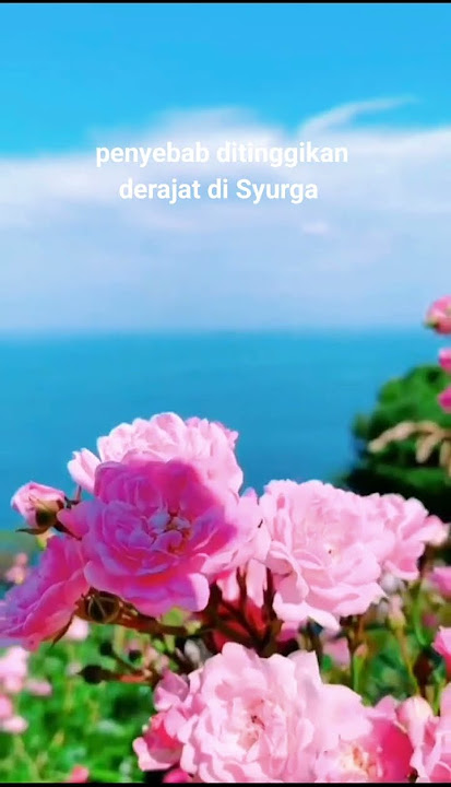 Penyebab ditinggikan derajat di Syurga #derajat #syurga #edukasi #motivasi #religion