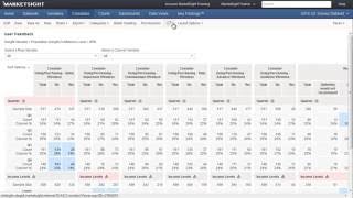 What's New in MarketSight 10.4