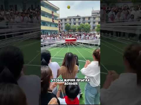Сколько недель будут каникулы 😮