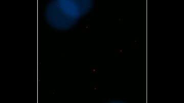 New Avee Player Template 2021 | Kinemaster Template Black Screen | Particles Effect Template