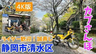 【再アップ4K版】＜静岡カプさんぽ＞ライダー歓迎のお寿司屋さんと日本平スタジアムの桜並木　モトブログ#237