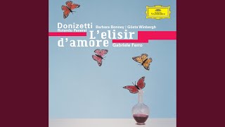 Donizetti: L'elisir d'amore / Act 2: Introduzione