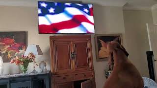 My Vizsla Ranger Goes Primal Over Law & Order Theme Song