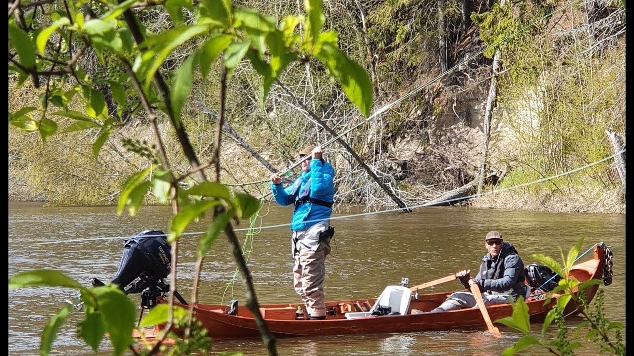 Meritaimenen perhokalastusta veneestä Kokemäenjoella.