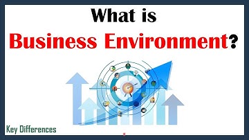 What is Business Environment? Definition, Salient Feaures and Components