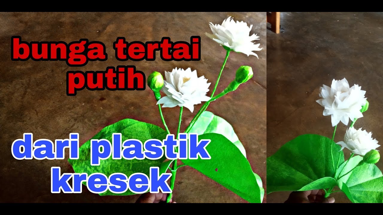 viral bunga  teratai putih dari  plastik  kresek YouTube