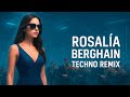 Rosalía Berghain DJ Arturo Techno Remix AI Vocal Version 