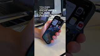 Turn your iPhone 15 into a dumb phone with 1 click! screenshot 3