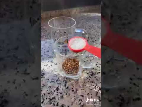 طريقة روان في عمل القهوة