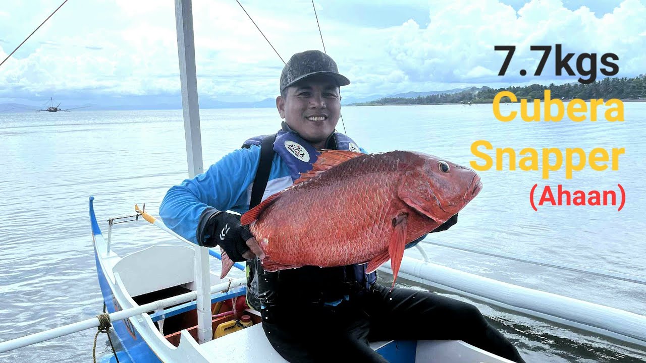 7.7kgs Cubera Snapper (Ahaan) | Vertical Jigging