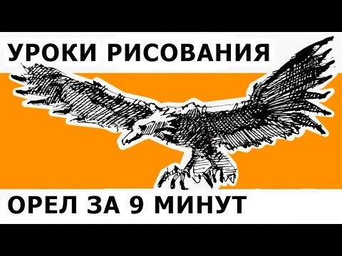 Как нарисовать орла за 9 минут. Рисование поэтапно, для начинающих. Скетчинг. Кичигин Эдуард