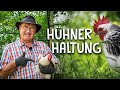 So kann jeder Hühner halten! 🐓- Nutztierhaltung im eigenen Garten für den Selbstversorger