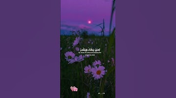 من سورة_الإسراء :القارئ ناصر القطامي🖤.