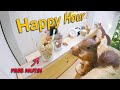 Movie Squirrels Nut Bar 3 - Happy Hour