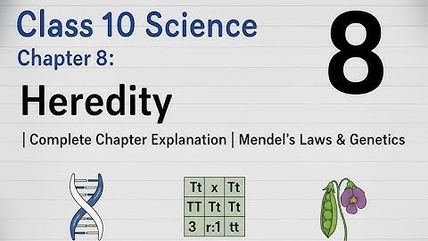 Class 10 Science Chapter 8: Heredity | Complete Chapter Explanation | Mendel