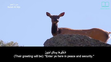 سورة الحجر - سعد الغامدي - مترجم | Surah Al Hijr - Saad Alghamdi - English subtitles