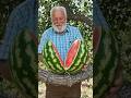 ASMR#fruit#fruitscutting#cuttingskills#watermelon#how to cut#giantwatermelon#food#foodlover#trending