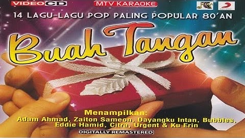 Adam Ahmad - Kau Pergi Jua