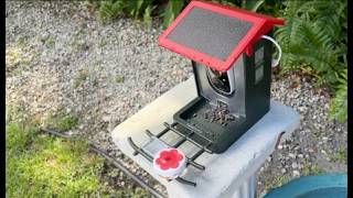 Complete Guide To Heapets Smart Solar Bird Feeder And Camera