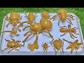 Tiny Creature Adventures: Exploring the Amazing Secret World of Insects Around