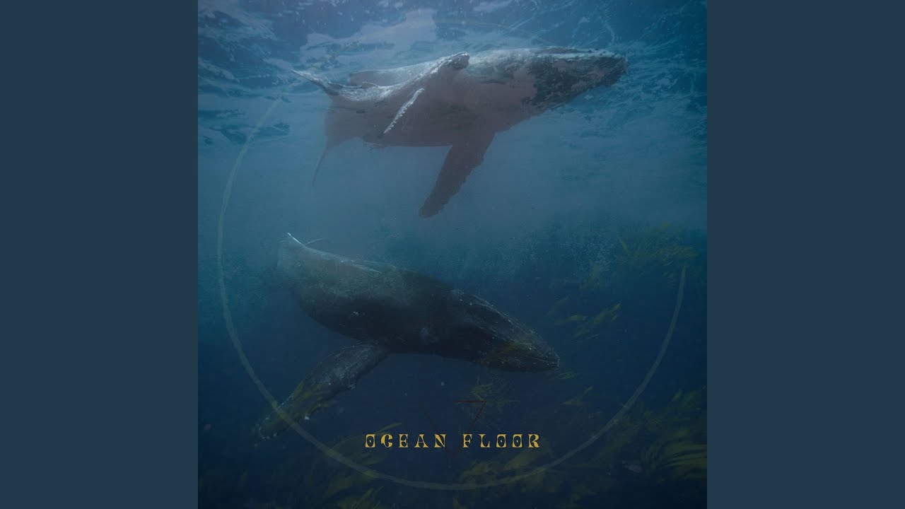 Watch Ocean Floor on YouTube Watch Ocean Floor on YouTube