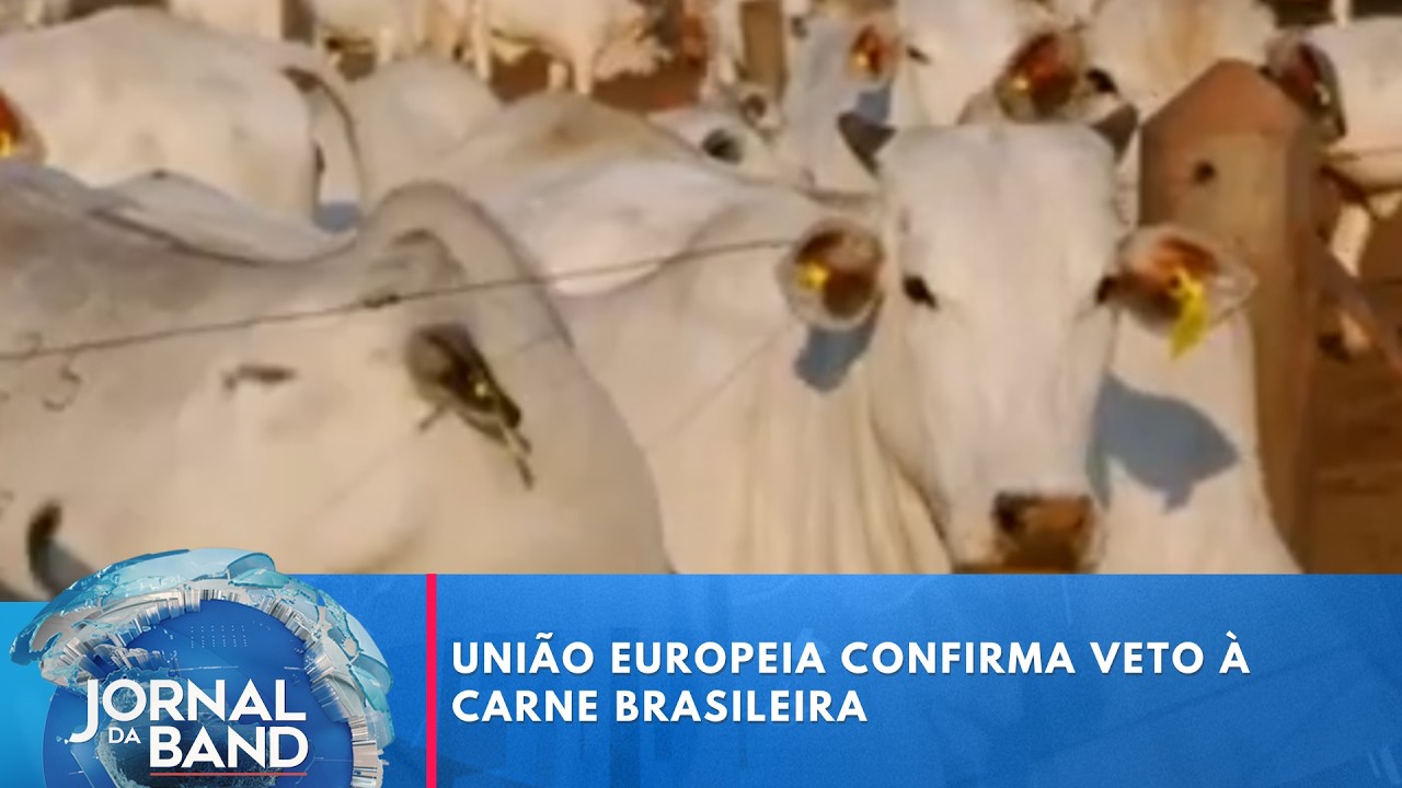 União Europeia confirma veto à carne brasileira a partir de setembro  | Jornal da Band