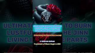 Download Lagu Strong Ruqyah to Burn Every Jinn Living in Private Parts #ruqyah #ruqyahshariah #shortruqyah MP3 Download Lagu Strong Ruqyah to Burn Every Jinn Living in Private Parts #ruqyah #ruqyahshariah #shortruqyah MP3