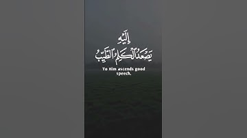 سورة فاطر | عبدالباسط عبد الصمد #عبدالباسط_عبدالصمد #القرآن_الكريم #قرآن #تلاوات_خاشعة