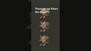 #cat how to turn your like button into a cat #kitty #kitten #catfilter
