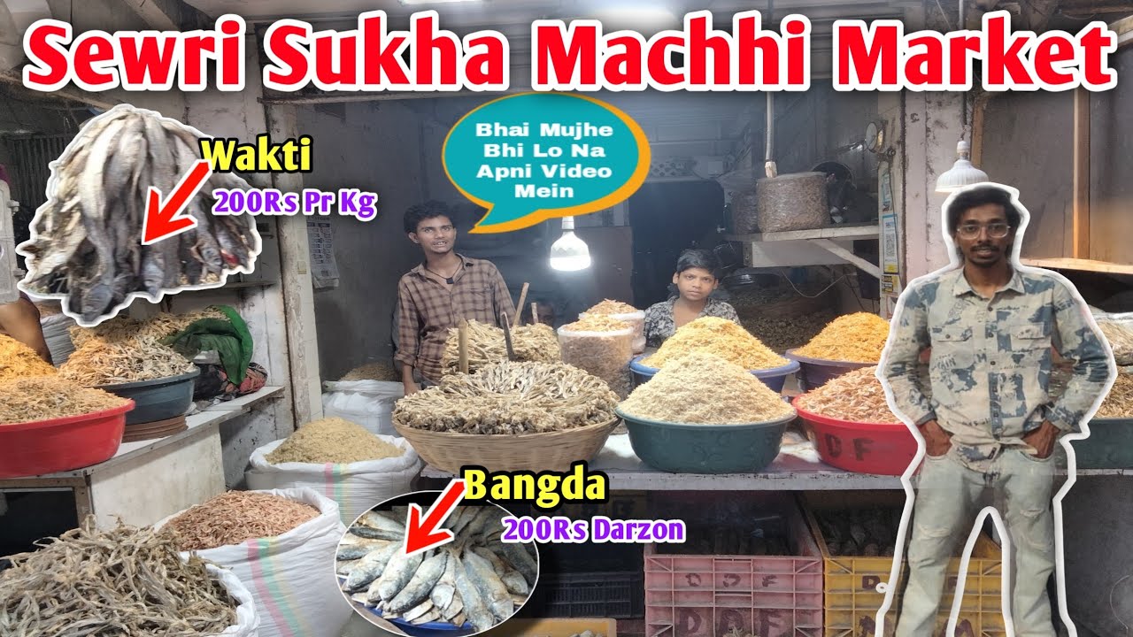 Sewri Machhi Market || Wholesale Dry Fish Market Of Mumbai || Sabse Bada Sukhi Machhi Ka Bazaar